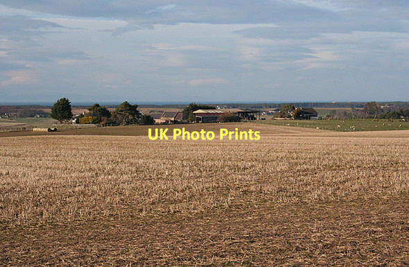 Photo 6"x4" Morayscairn Farm Coltfield c2011