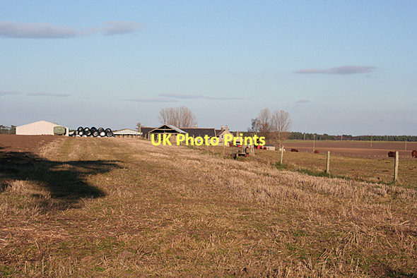 Photo 6"x4" Standingstone Farm Alves c2011