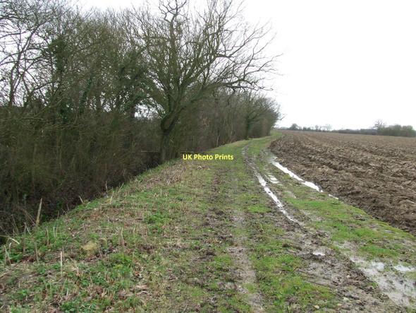 Photo 6"x4" The Tarmac Has Run Out Whelp Street c2011