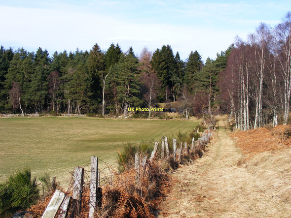 Photo 6"x4" The loch at Loch Coull House Coull\/NJ5102 c2011