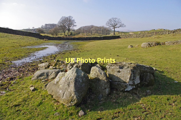 Photo 6"x4" Grazing land near Frost Hole Cowen Head c2011