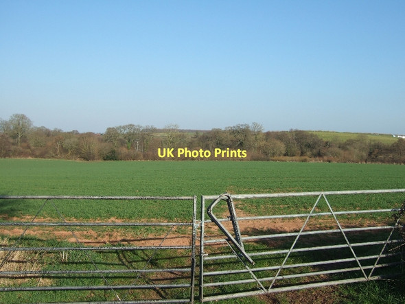 Photo 6"x4" Gates into field south of Nettacott Nettacott c2011