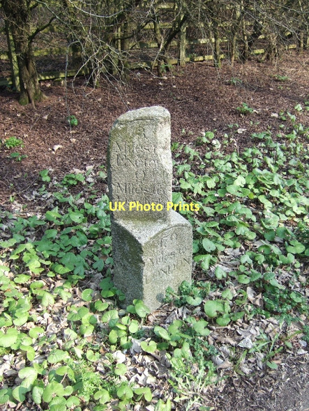 Photo 6"x4" Milestone near Exminster Exminster c2011