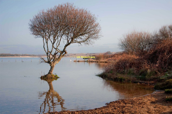 Photo 6"x4" Kenfig National Nature Reserve Kenfig c2011