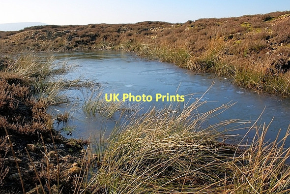 Photo 6"x4" Pond, Miley Pike Hill Osmotherley c2011