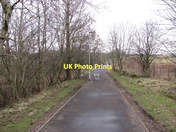 Photo 6"x4" Path to Craigmarloch Blackwood\/NS7274 c2011