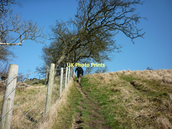 Photo 6"x4" Climbing up Sylvan Dale the hard way Millington c2011