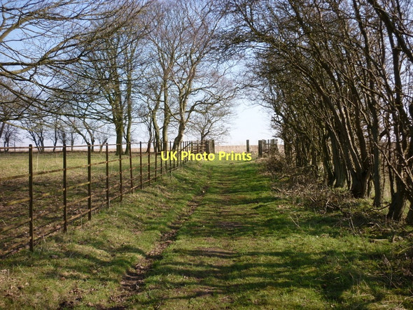 Photo 6"x4" The Wolds Way above Millington Dale Huggate c2011