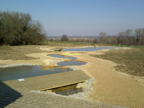 Photo 6"x4" Ponds at Aldington Eco Centre Aldington\/TR0636 c2011
