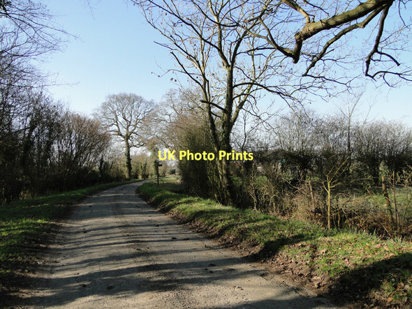 Photo 6"x4" Short stretch of country road near Risings Farm Bruisyard c2011