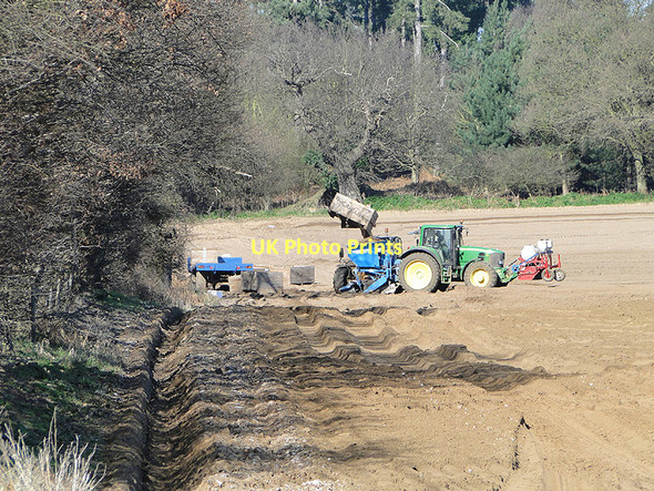 Photo 6"x4" Planting potatoes at Sudbourne Sudbourne c2011