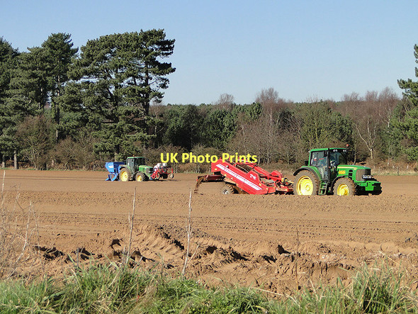 Photo 6"x4" Potato planting at Sudbourne Sudbourne c2011