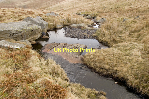 Photo 6"x4" Moss Gill Brown Howe\/NY4812 c2011