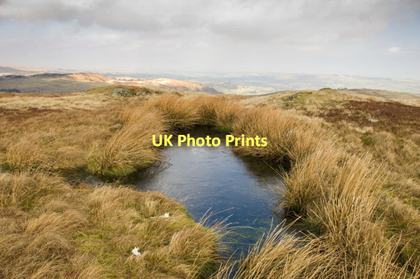 Photo 6"x4" Reedy Tarn on Powley's Hill Long Rigg\/NY5013 c2011