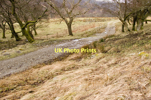 Photo 6"x4" Farm track in the Naddle Valley Bomby c2011
