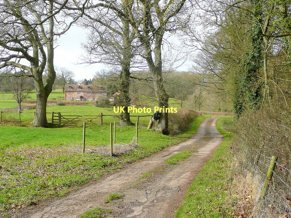 Photo 6"x4" Track to Grove Farm Bullo c2011