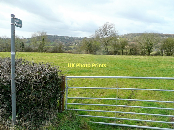Photo 6"x4" Footpath to Lowfield Blakeney\/SO6606 c2011