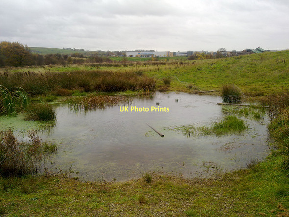 Photo 6"x4" Marsh and bog in Milnrow Milnrow c2010