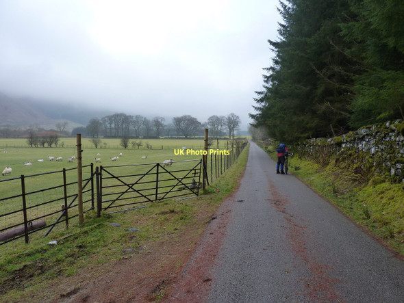 Photo 6"x4" Misty morning on the road up Glen Fyne Cairndow c2011