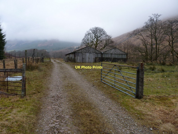 Photo 6"x4" Sheepshed near Inverchorachan River Fyne c2011