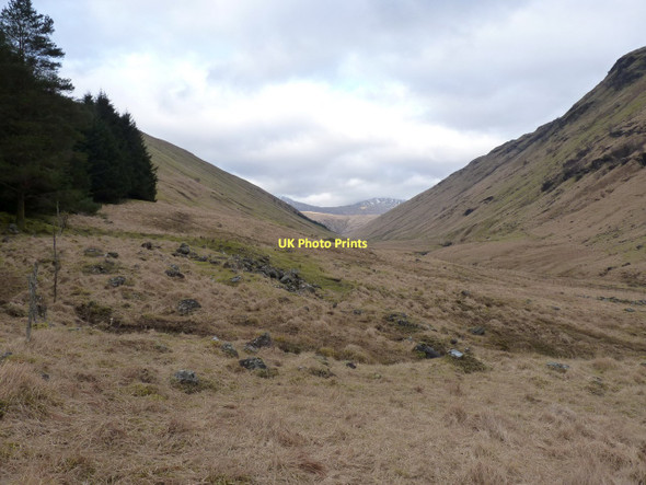 Photo 6"x4" Up Glen Fyne towards Ben Oss Trosgiche c2011