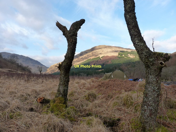Photo 6"x4" Wild campsite in Glen Fyne Eas Ruadh\/NN2416 c2011