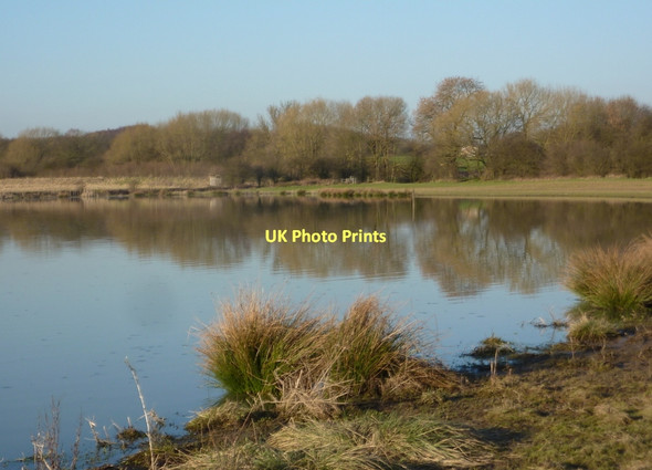 Photo 6"x4" Lake, Carr Vale reserve, in early spring Bolsover c2011