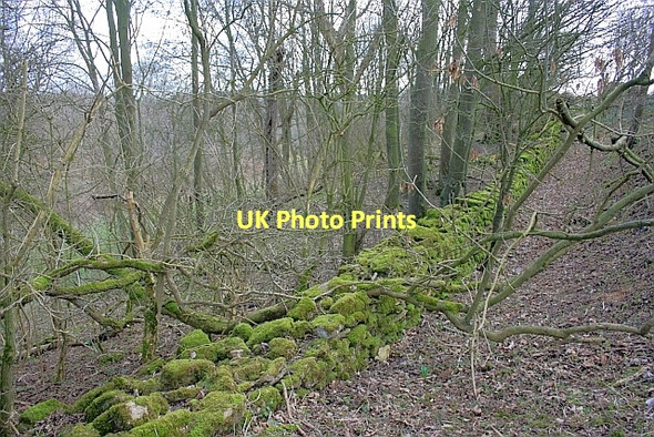 Photo 6"x4" Stone Wall, Wy Dale Snainton c2011