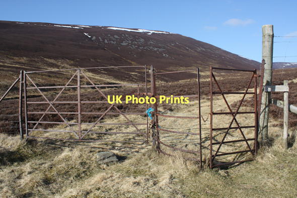 Photo 6"x4" March gate near Suie Suie c2011