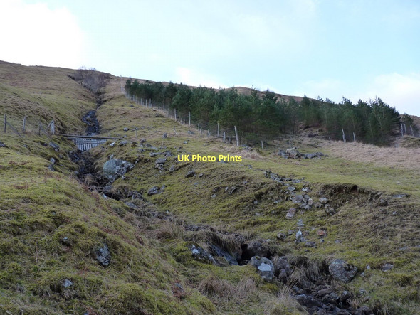 Photo 6"x4" Forest patch and a minor burn in Glen Fyne Allt a Mhuilinn c2011