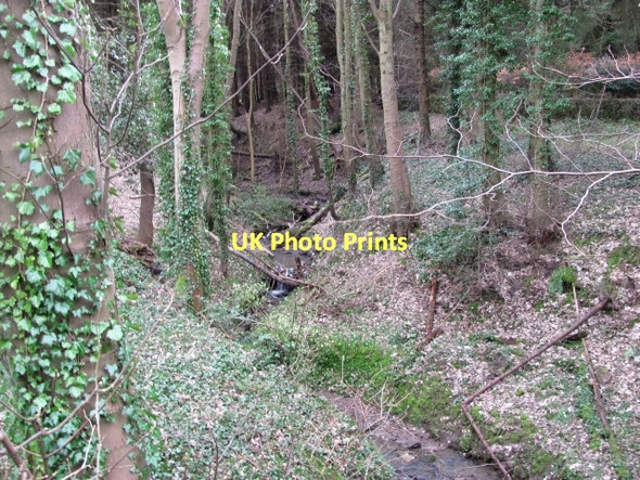 Photo 6"x4" Burn, Kinneil Woods Bo'ness c2011