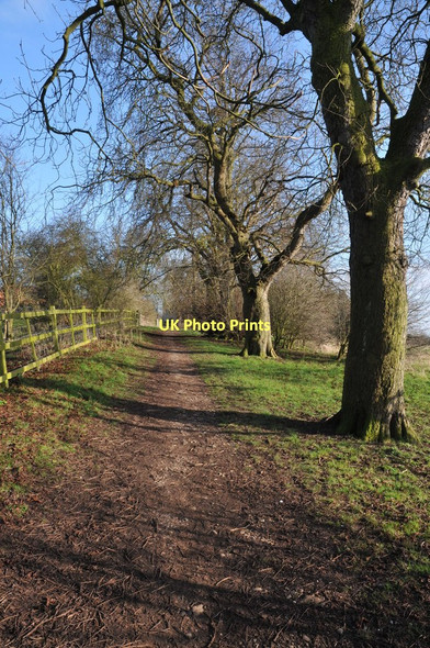 Photo 6"x4" Track in Clopton Park Stratford-upon-Avon c2011
