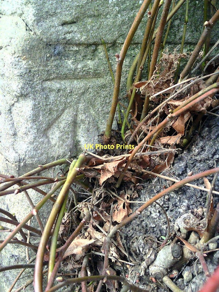 Photo 6"x4" Benchmark on wall on north side of The Leys Witney c2011
