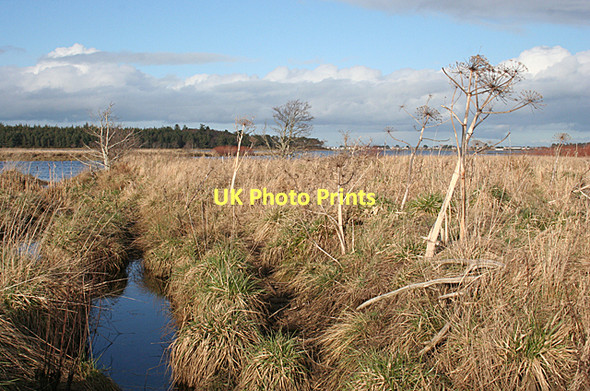 Photo 6"x4" Findhorn Bay Kintessack c2011