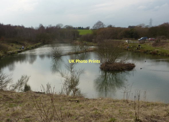 Photo 6"x4" Lake, Williamthorpe Ponds Nature Reserve Owlcotes c2011
