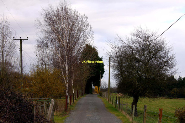 Photo 6"x4" Road to Hitchcopse Farm Cothill\/SU4699 c2011
