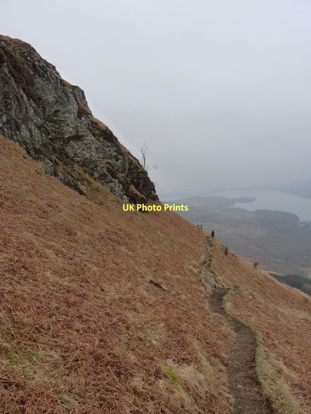 Photo 6"x4" Ptarmigan path down towards Loch Lomond Rowardennan c2011