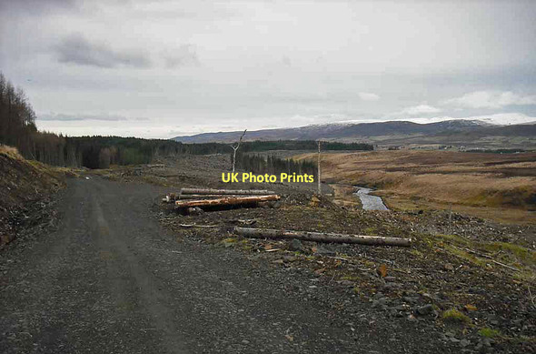 Photo 6"x4" Forest clear fell Coulnacraggan c2011