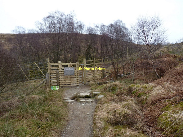 Photo 6"x4" Gate at the edge of the forest Rowardennan c2011