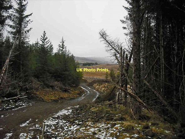 Photo 6"x4" Short track to a quarry Peiness c2011