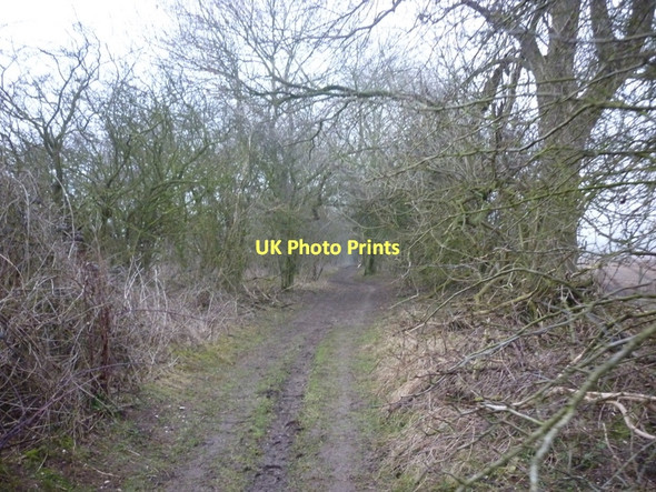 Photo 6"x4" A footpath heading east towards the B1248 Wetwang c2011