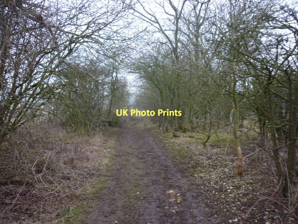 Photo 6"x4" A footpath towards the B1248 Wetwang c2011