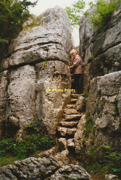 Photo 6"x4" Fairy Steps in Underlaid Wood South Lakeland Carr Bank c1997