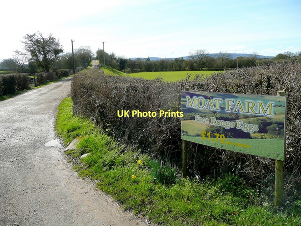 Photo 6"x4" Track to Moat Farm Highleadon c2011