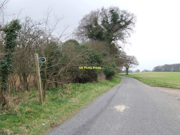 Photo 6"x4" Restricted Byway Fen Street\/TL9879 c2011