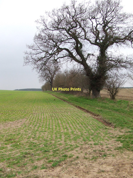 Photo 6"x4" Restricted Byway Fen Street\/TL9879 c2011 P1