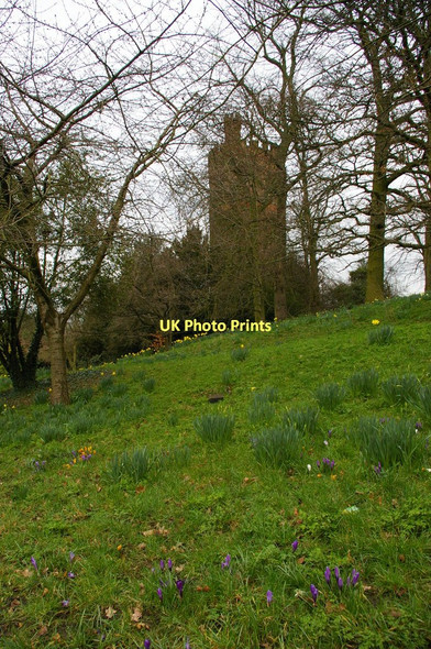 Photo 6"x4" Croydon: Park Hill, Water Tower Croydon\/TQ3365 c2011