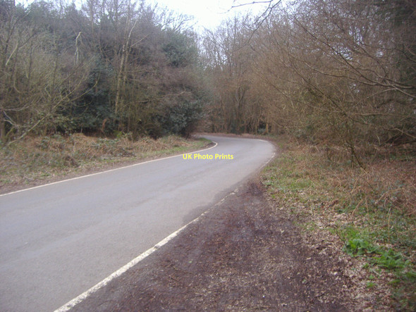 Photo 6"x4" Combe Lane, Combe Bottom Shere c2011