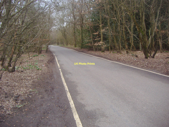 Photo 6"x4" Combe Lane, Combe Bottom Shere c2011