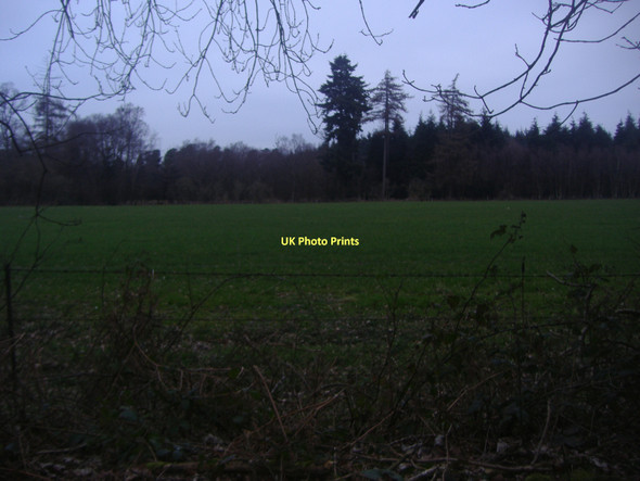 Photo 6"x4" Field by Combe Lane, Combe Bottom Shere c2011